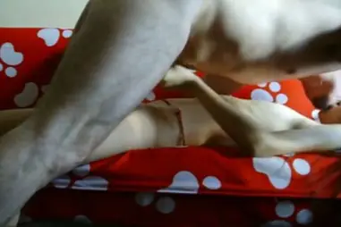 Live ABG Bispak Hotel Bintang Lima Skandal Viral Menggemparkan HD Lumer